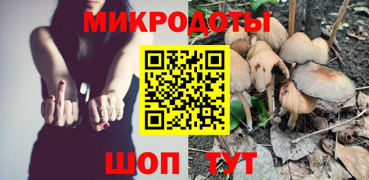 Псилоцибиновые грибы Cubensis  Галлюциногенные грибы Cubensis  Беслан 